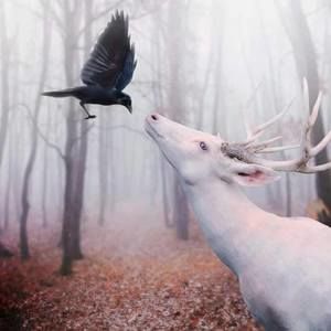 Meet your Posher, Theresa